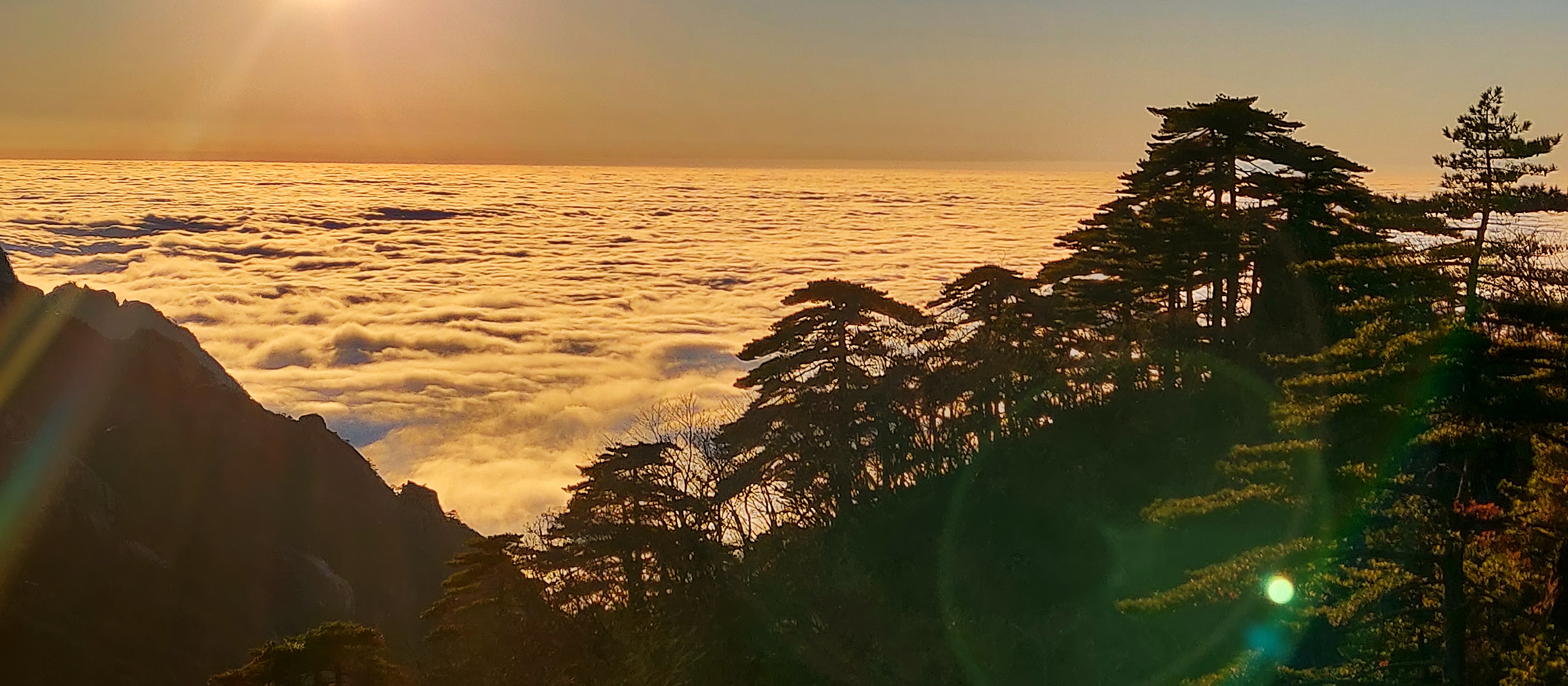 冬韻黃山 佛光雲海