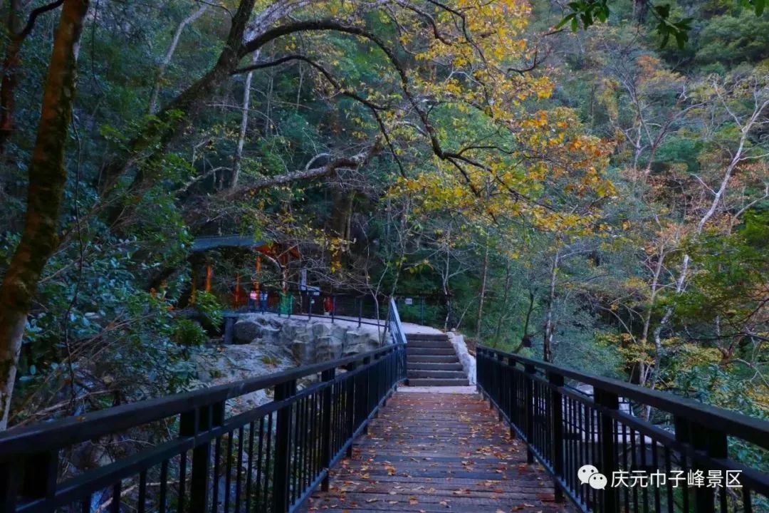 慶元巾子峰景區榮獲