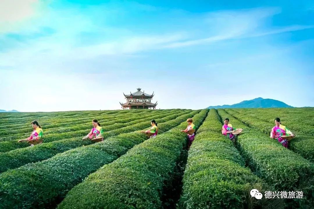 地點:德興市香屯街道-楊家灣村 怎麼玩:休閒,娛樂