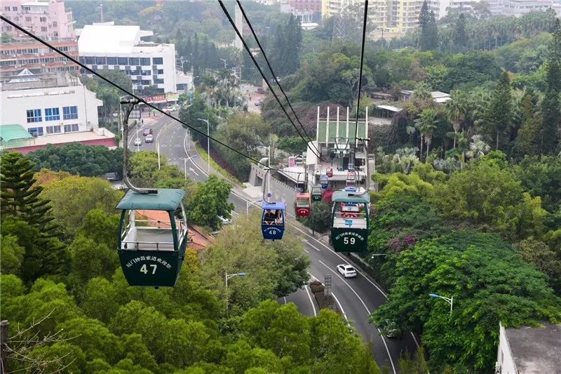 厦门热门景区降价!植物园,鼓浪屿,同安影视城,金光湖