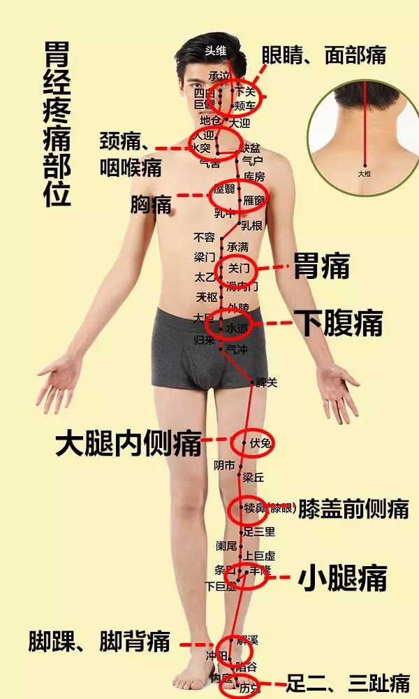 2,胃经疼痛部位1,脾经疼痛部位