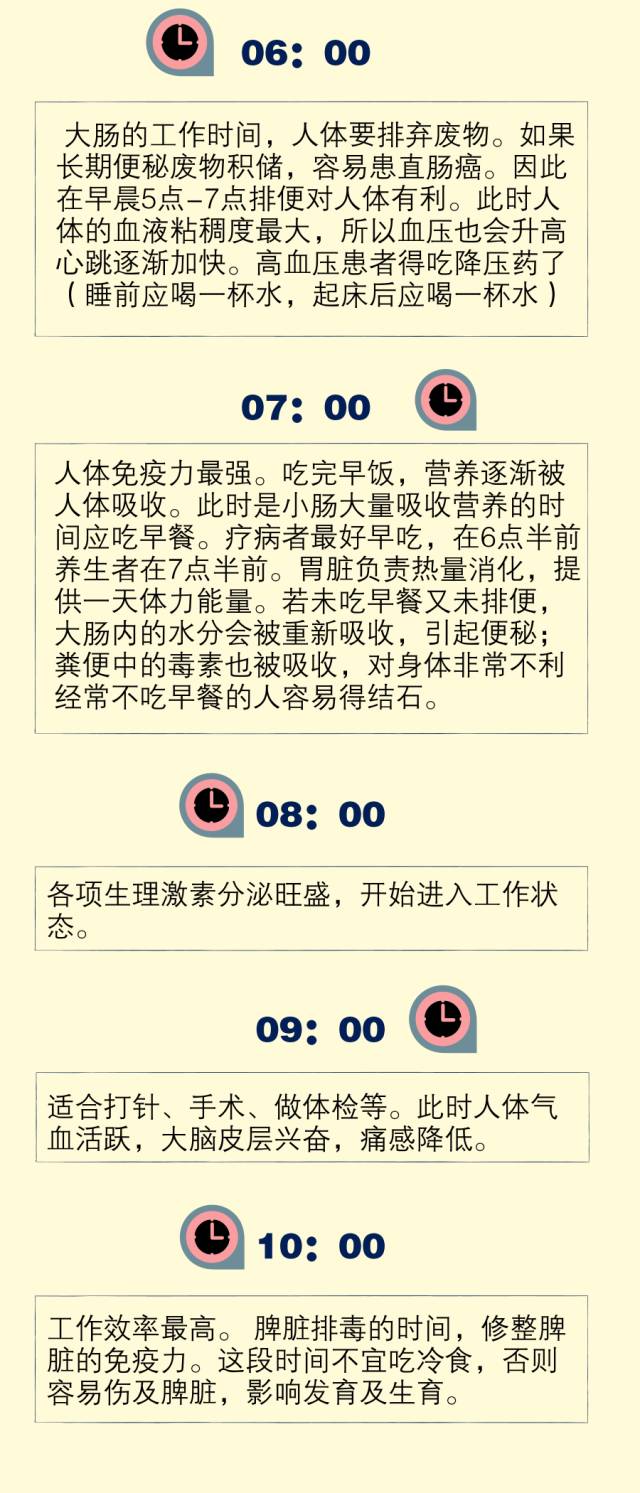 器官24小时工作图表图片