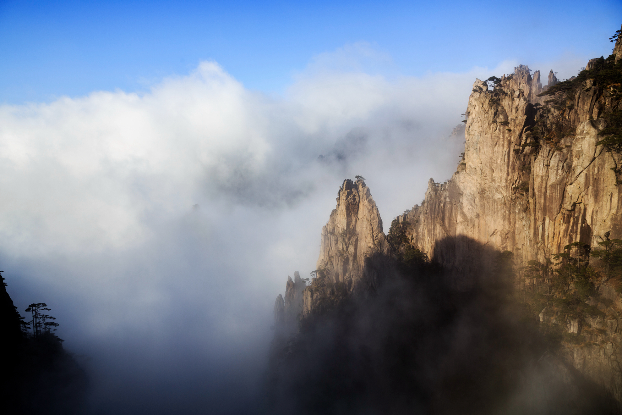 冬韻黃山佛光雲海