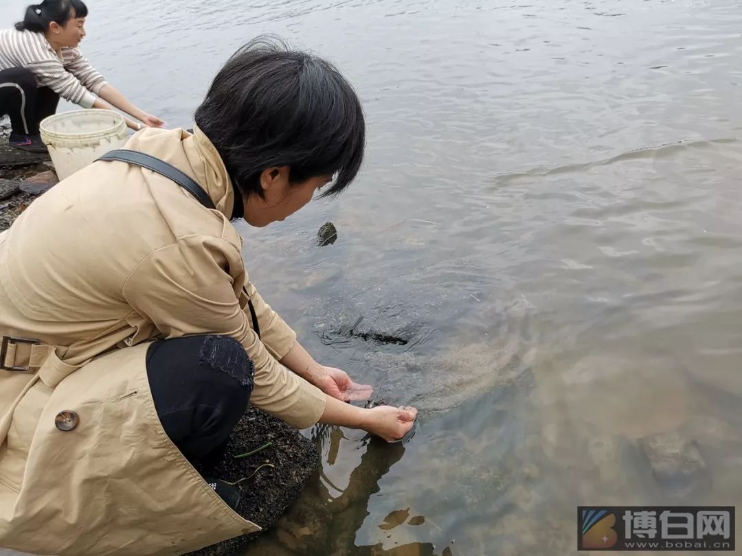 博白江濱公園,有人電魚有人放生