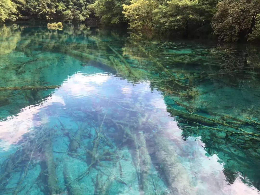 手機一直保存著沒有被破壞過得五花海在天災面前我們總是太渺小2017