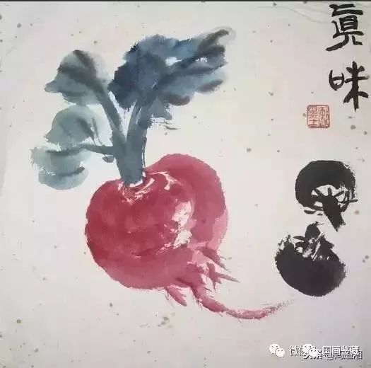 國畫白菜苦瓜和蘿蔔的畫法