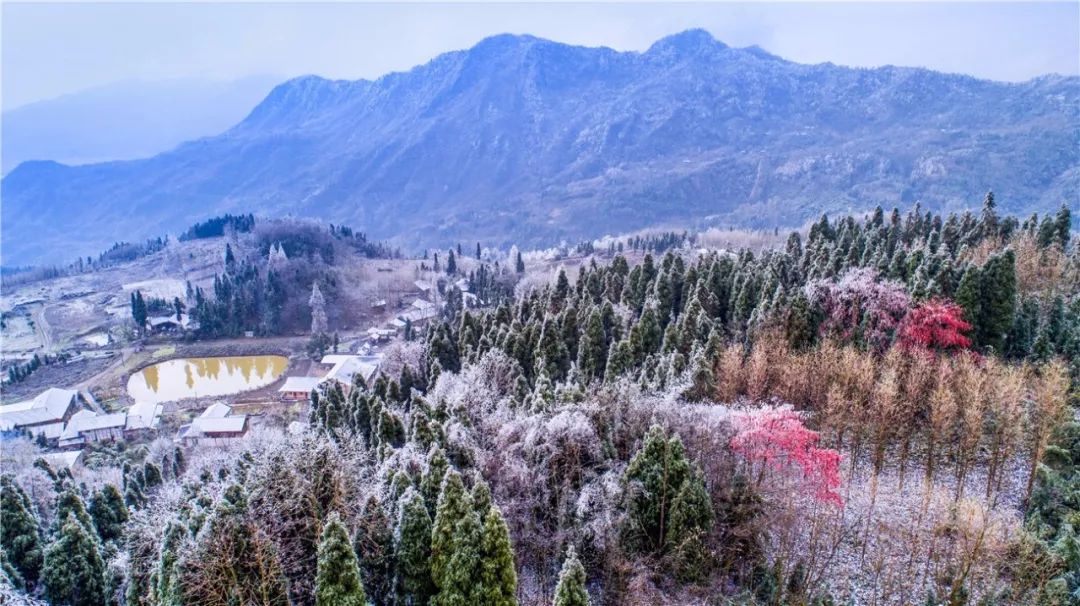 彭州通济镇大坪村 雪图片