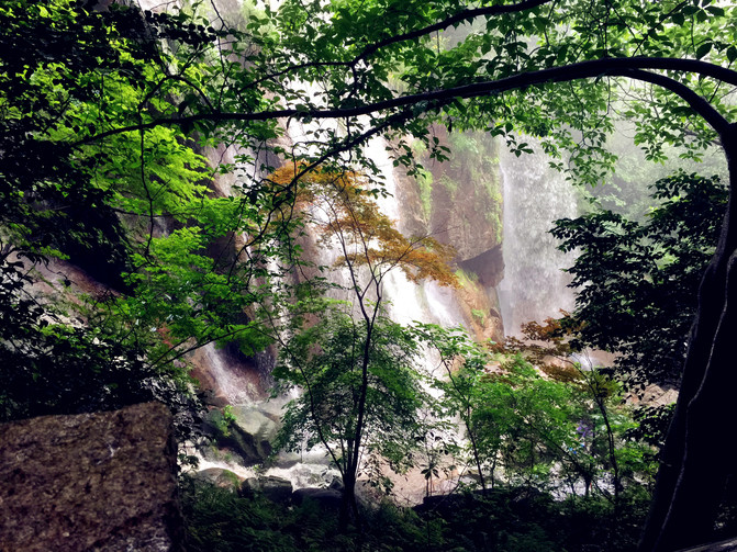 經過干將莫邪雕像,走出出口,經過一些度假山莊,可以到達蘆花蕩公園