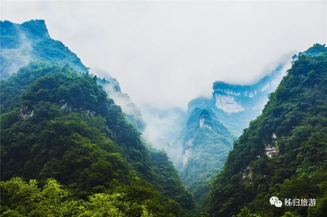 行進湖北--文化旅遊篇‖美女局長請你到秭歸吃