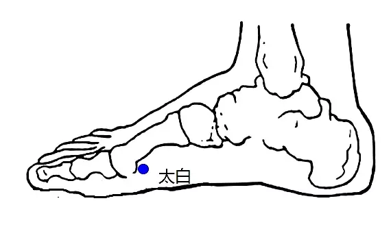 人體經絡十二時辰養生法肝膽肺大腸脾胃篇