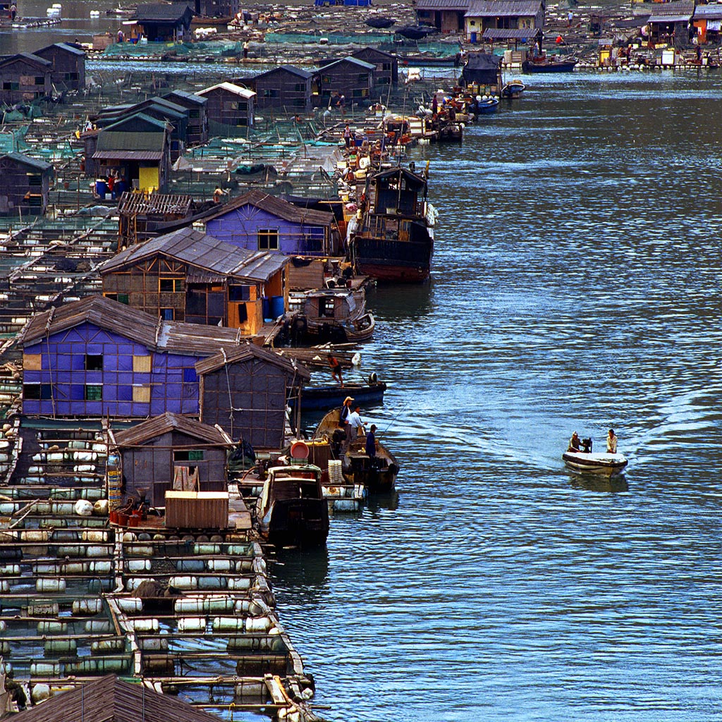 一座海上漂浮的城市,中国威尼斯到底有多美?