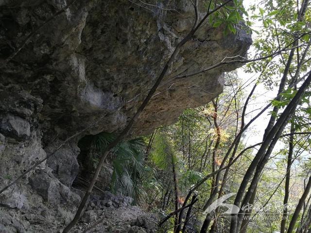 石虎口這裡是武陵山區深山之中的一道山谷,山谷兩邊是起伏連綿的莽莽