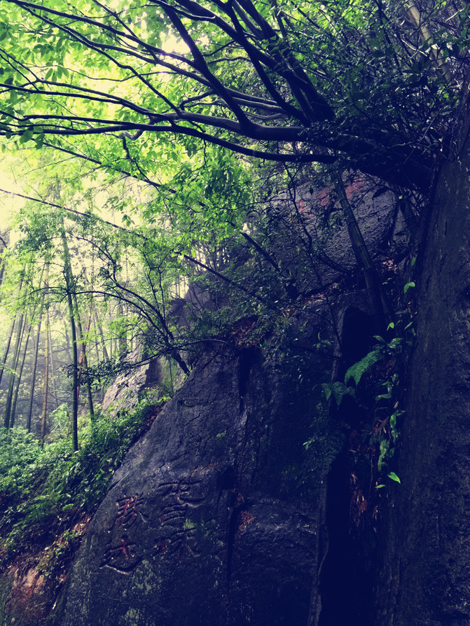 經過干將莫邪雕像,走出出口,經過一些度假山莊,可以到達蘆花蕩公園