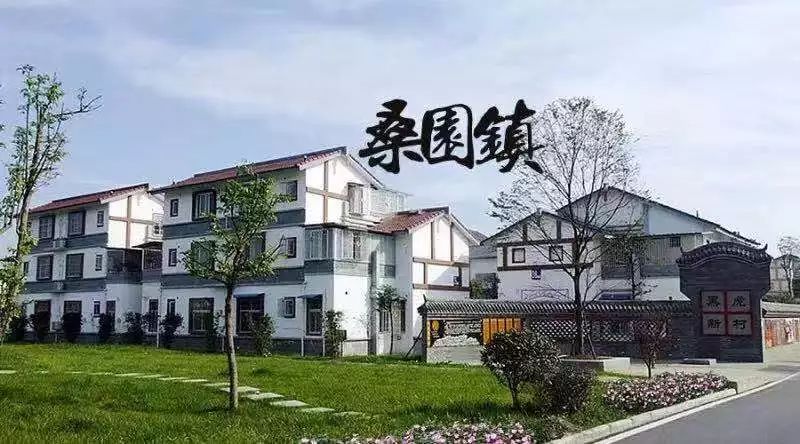 羊安镇古色果香家庭农场经过"新农村建设"实施多轮土地整理大多数农村