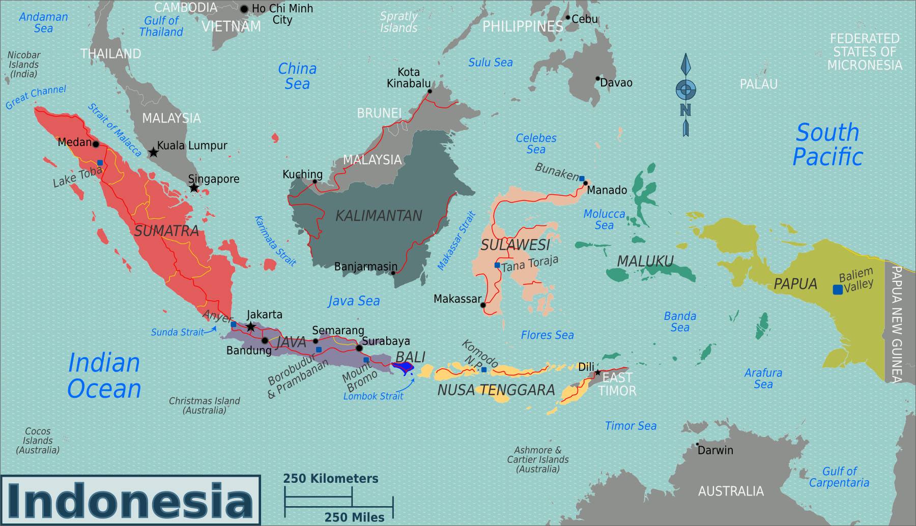 印尼入侵西巴布亚图片
