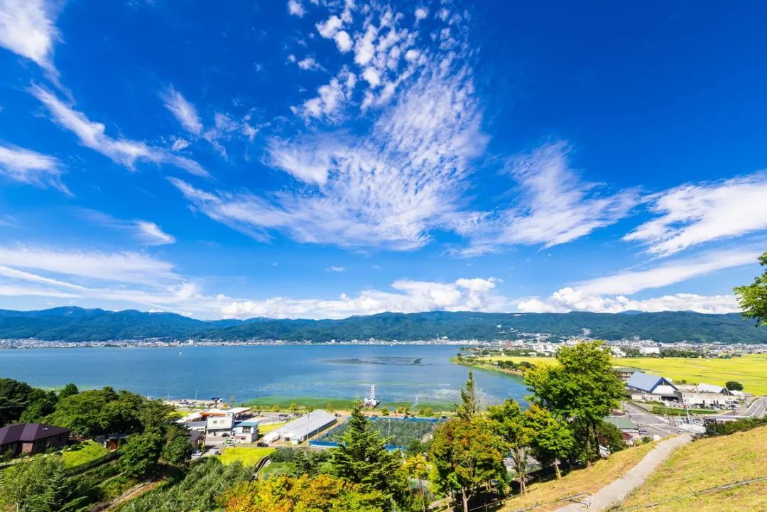 東京大阪雙城記,聖誕節的日本就要這麼玩!_竹林