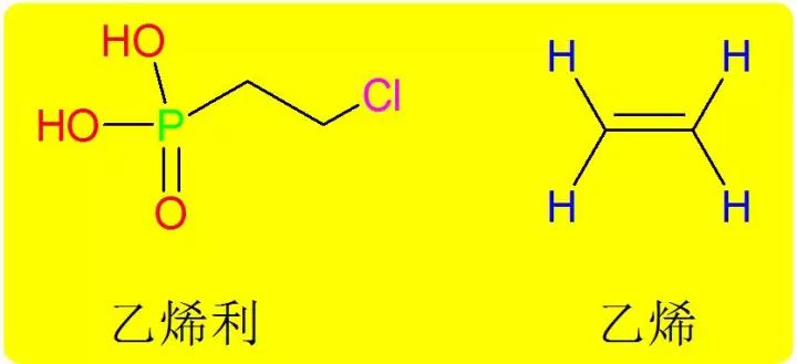 乙烯利是一种优质高效的植物生长调节剂,其水溶液在ph>4时,能够分解