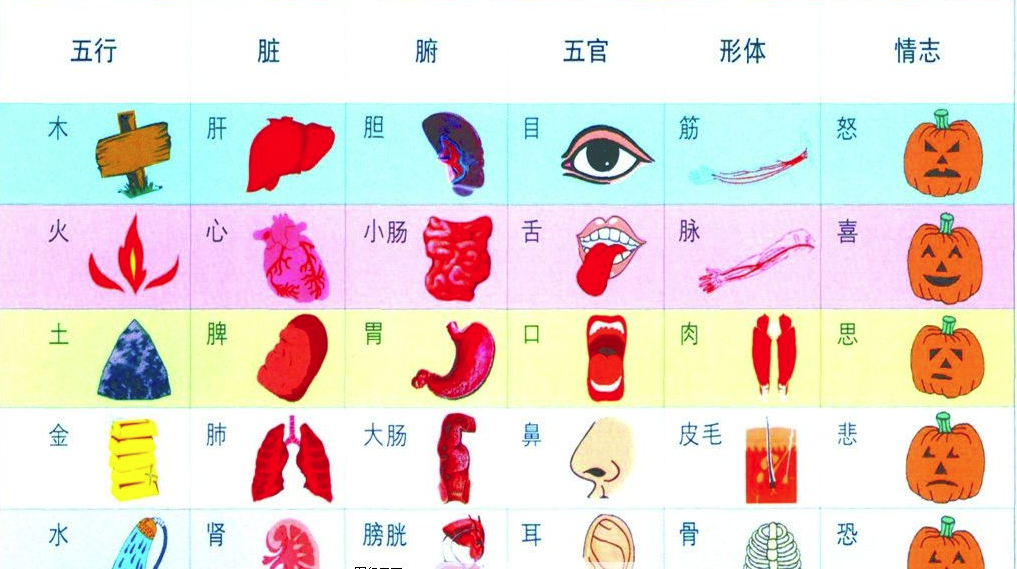 中医认为五行与身体密切相关 你知道金木水火土对应哪个器官吗 方面