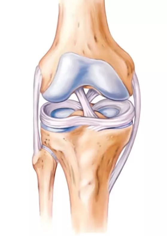 半月板损伤怎么办专业恢复动作运动康复