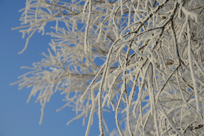 環遊世界我的冰雪奇緣第一篇霧凇廣寒