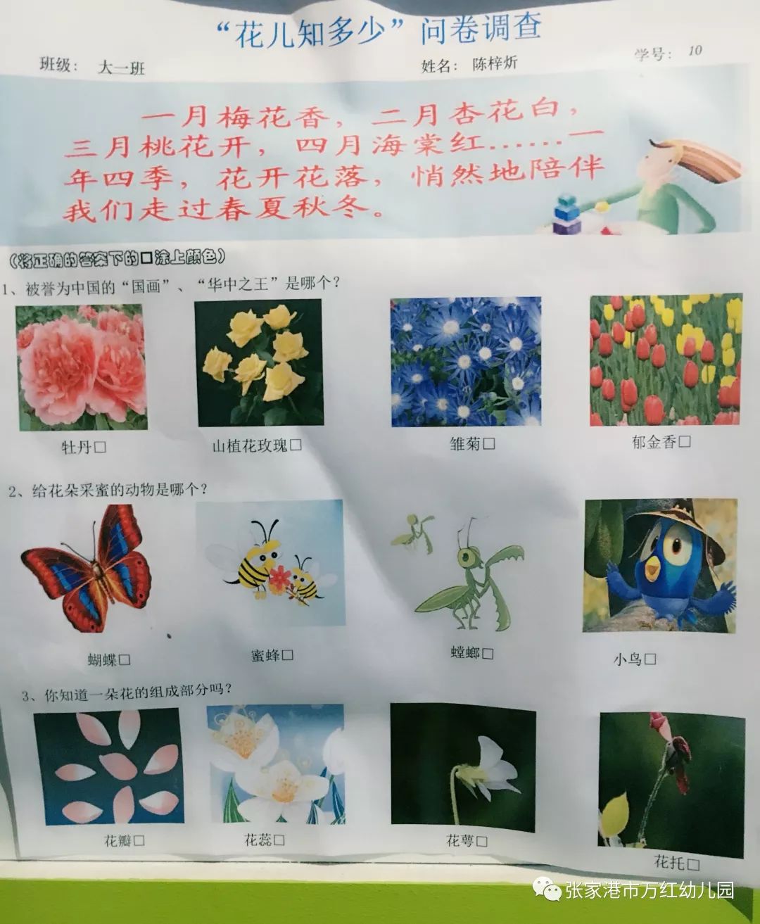 植物记录卡杏花图片