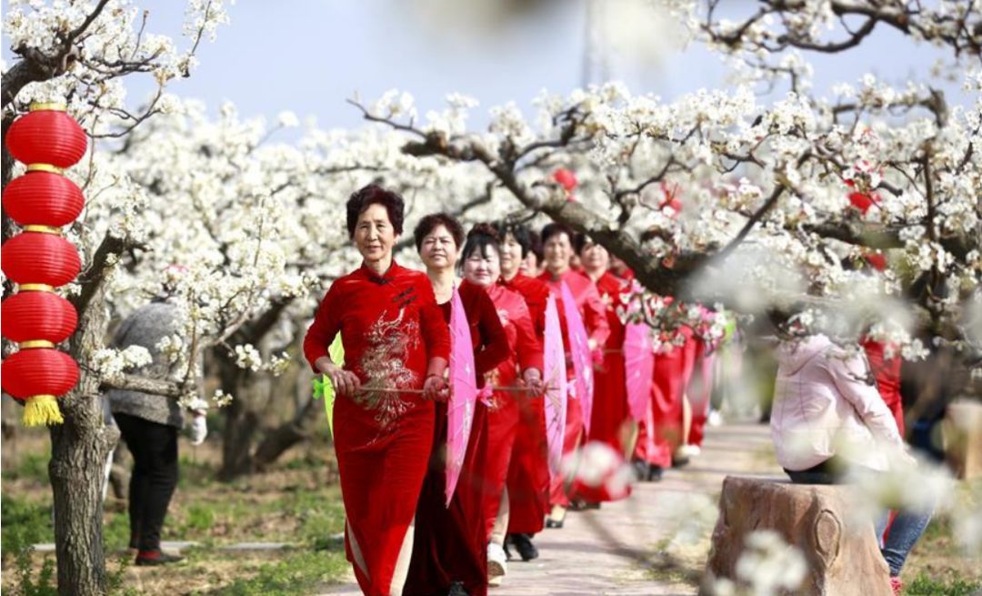 刘老人梨花节地址图片