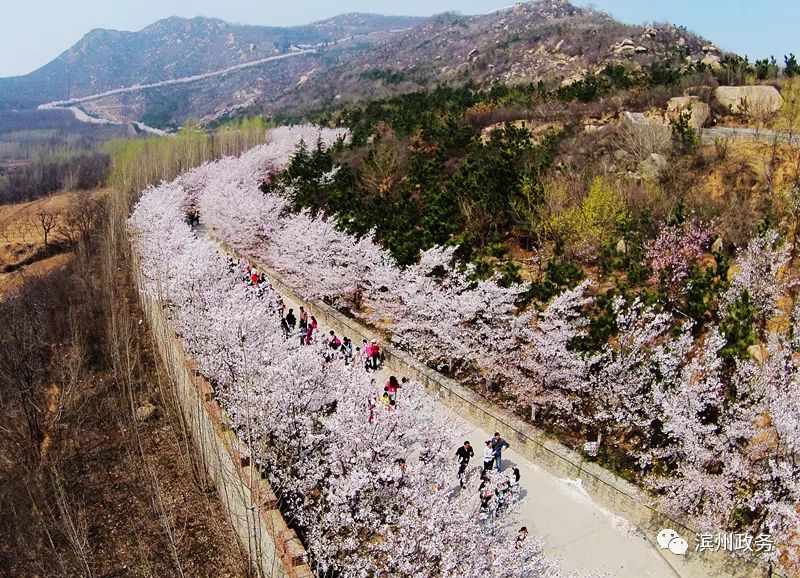 【区县】济青高铁今日通车 邹平这些景点推出乘高铁首月免费畅游活动!