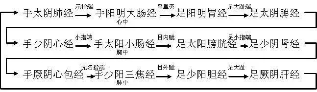 十二經脈的位置,走向規律,交接規律及分佈規律_三陽