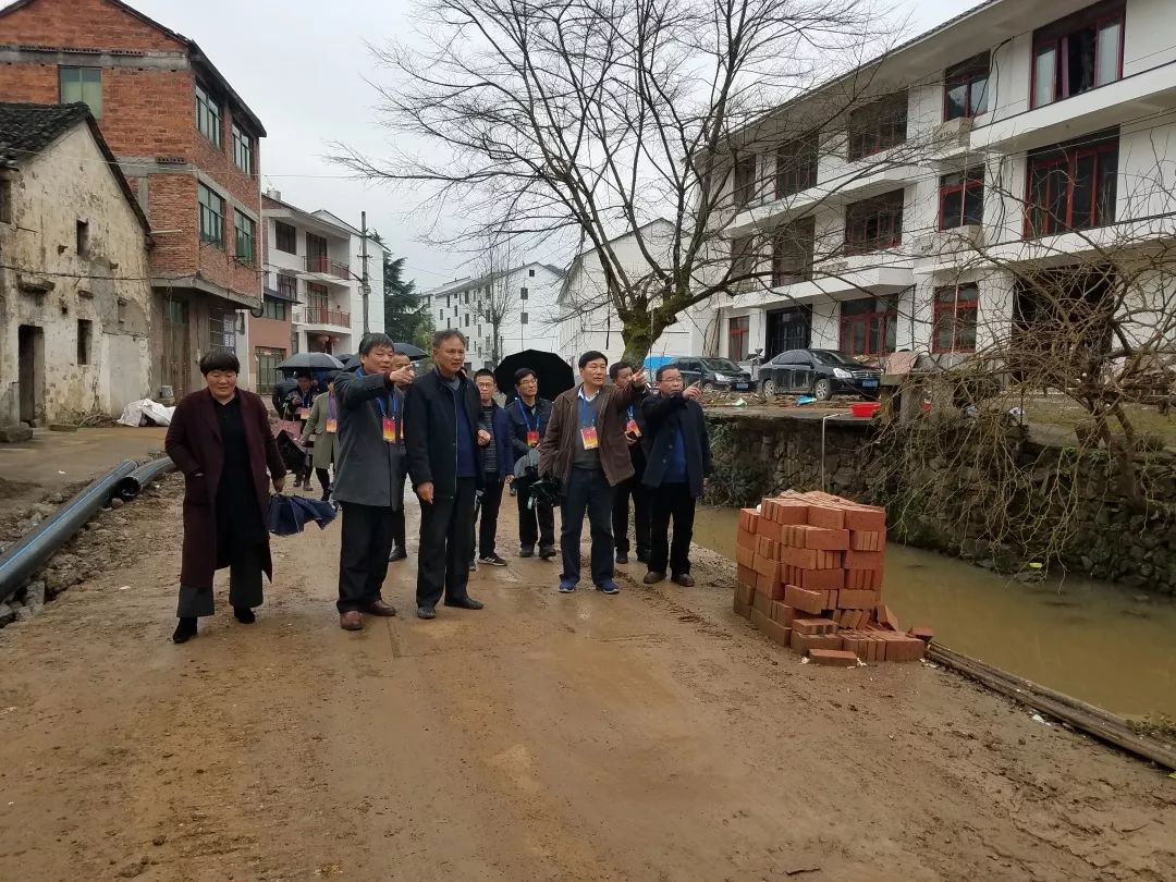 浙江浦江王向东图片