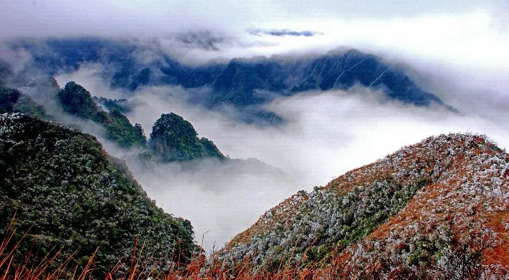 預告大明山將持續多天迎來霧凇