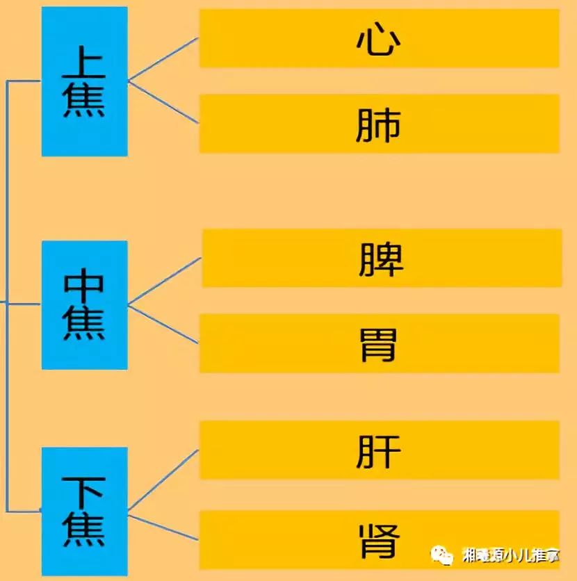 艾灸肚臍能激發三焦的氣化功能,使氣機暢通,經絡隧道疏通,能促進代謝