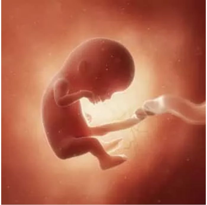 孕12周胎儿真实图图片