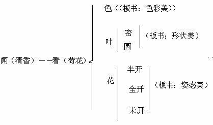 部编版荷花板书图片