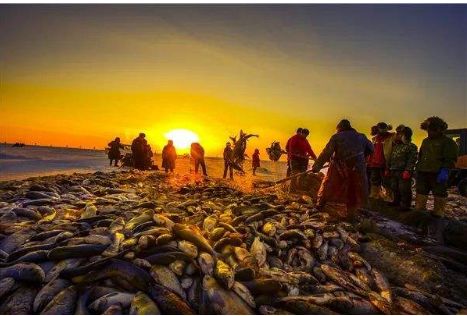 【走南闖北】吉林查干湖國家級自然保護區_旅遊