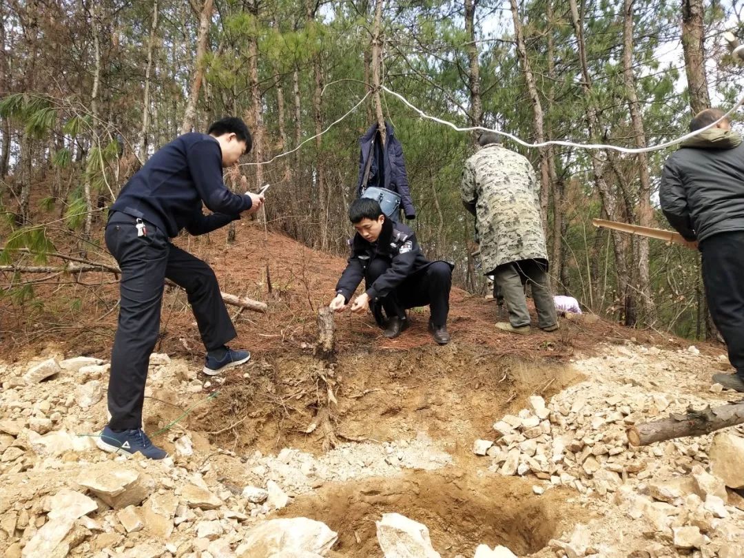 英山杨柳灭门案图片