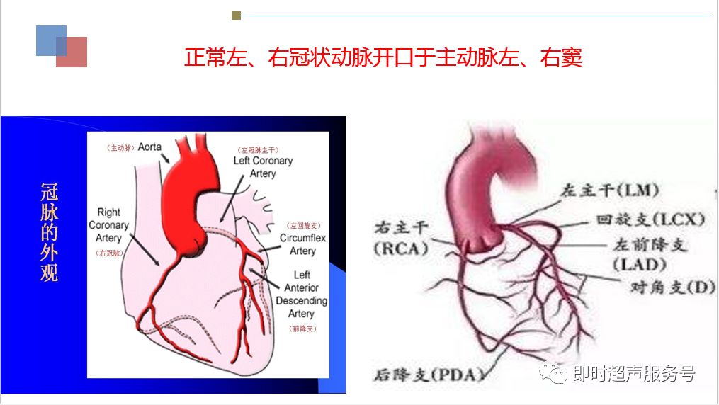 冠状动脉病变的分析思路