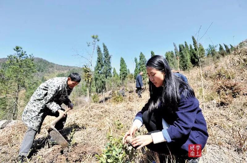 當選副市長的90後女博士,有