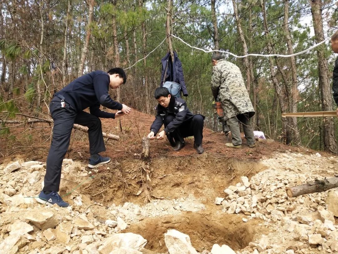 英山杨柳灭门案图片