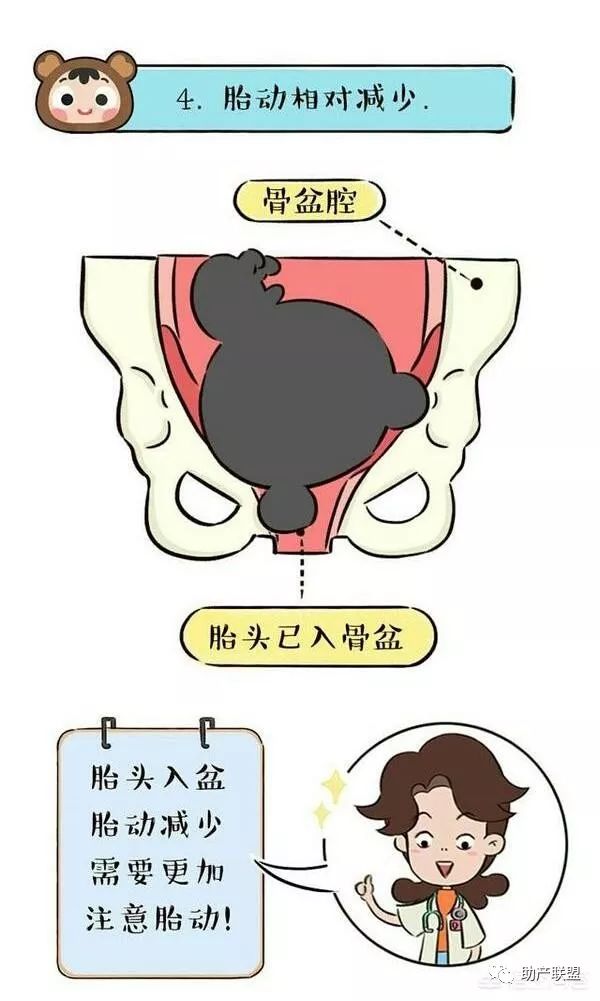 孕妈咪可能还会感觉到下面的分泌物变多了,这是因为快要分娩子宫颈