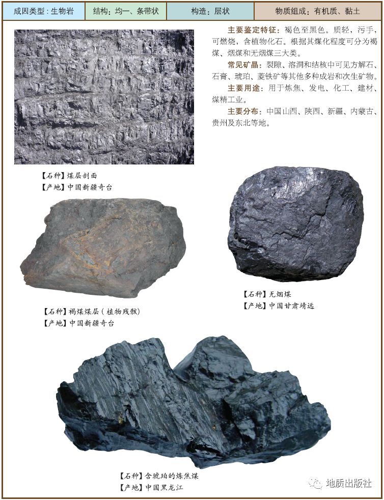 沉积岩分类以及图片图片
