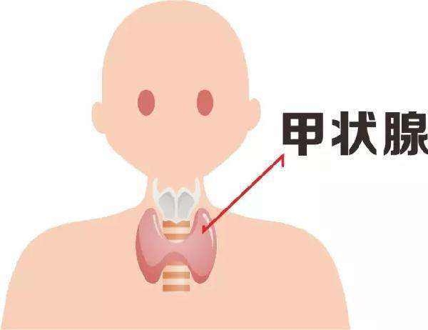 首大李金華:甲狀腺結節做微創手術能治好嗎