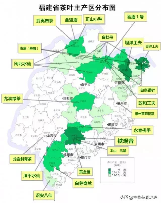 中国茶叶分类福建名茶