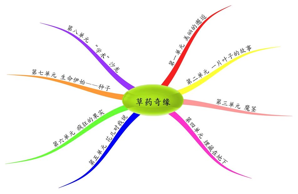 植物学根的思维导图图片