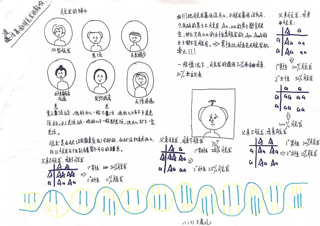 遗传学手抄报图片