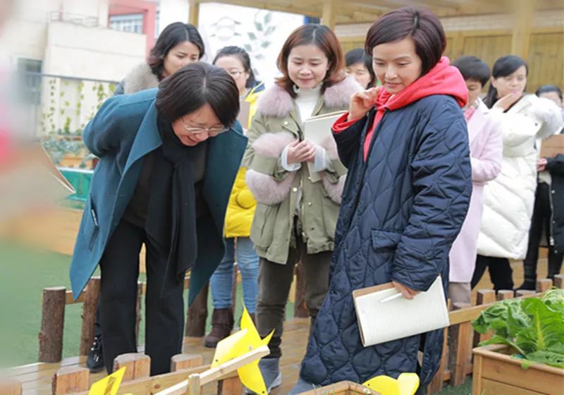 【专家引领】北师大冯晓霞教授莅临市花园实验幼儿园开展指导工作