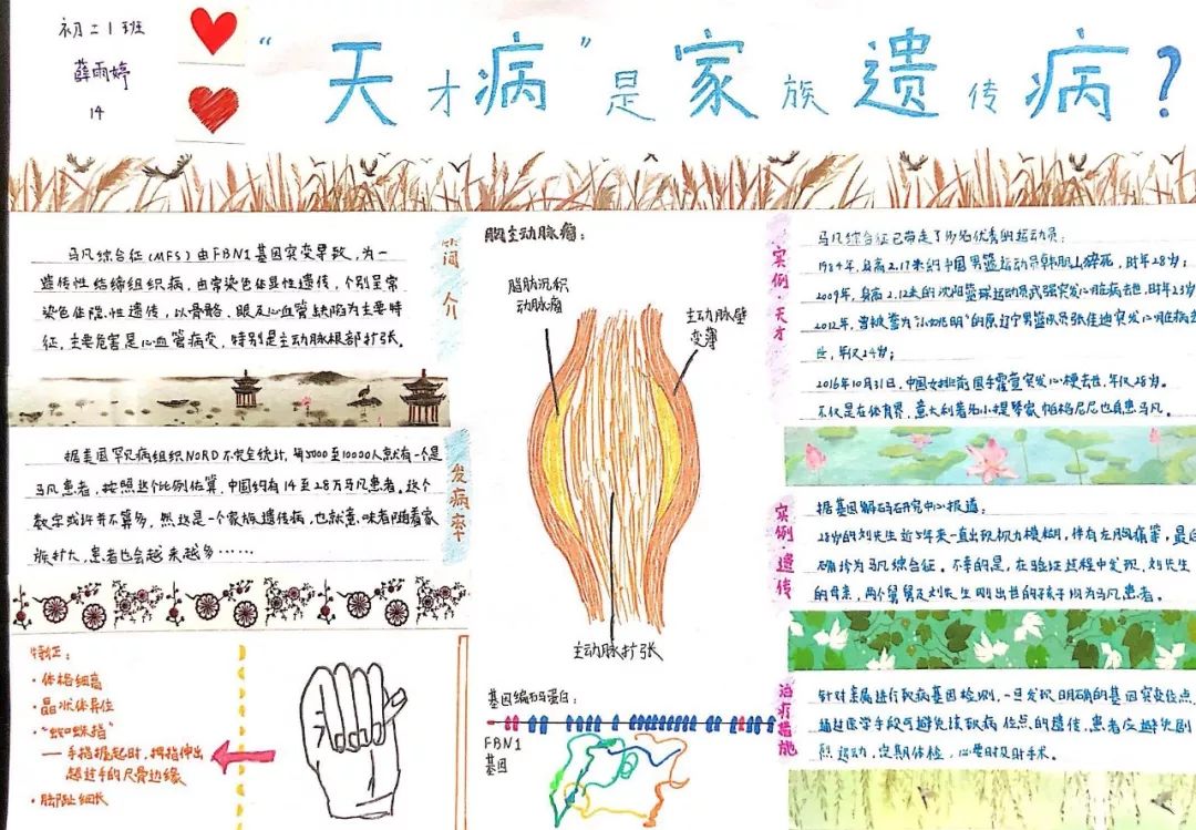 校园采贝201842期从孟德尔的豌豆到基因编辑婴儿