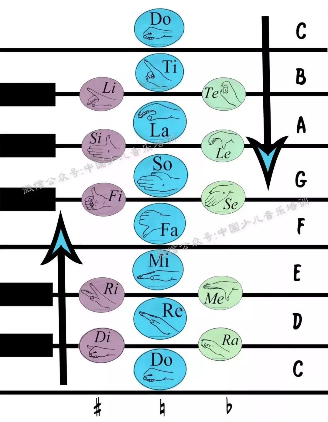 柯尔文手势大全,音乐课的必备"神器"_音高