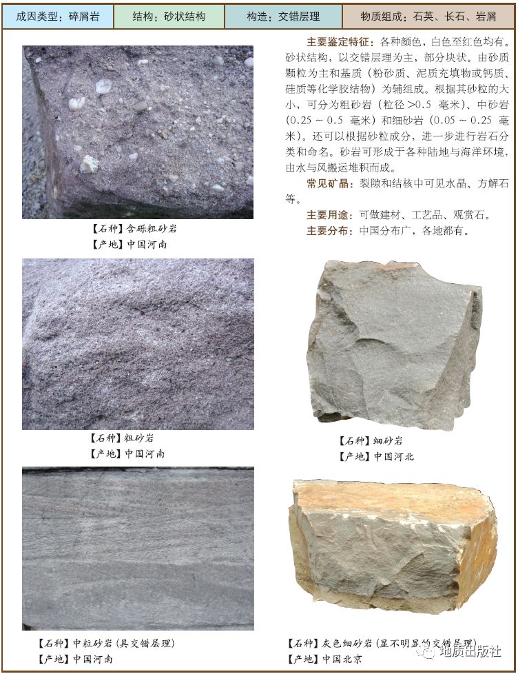 泥质粉砂岩描述图片