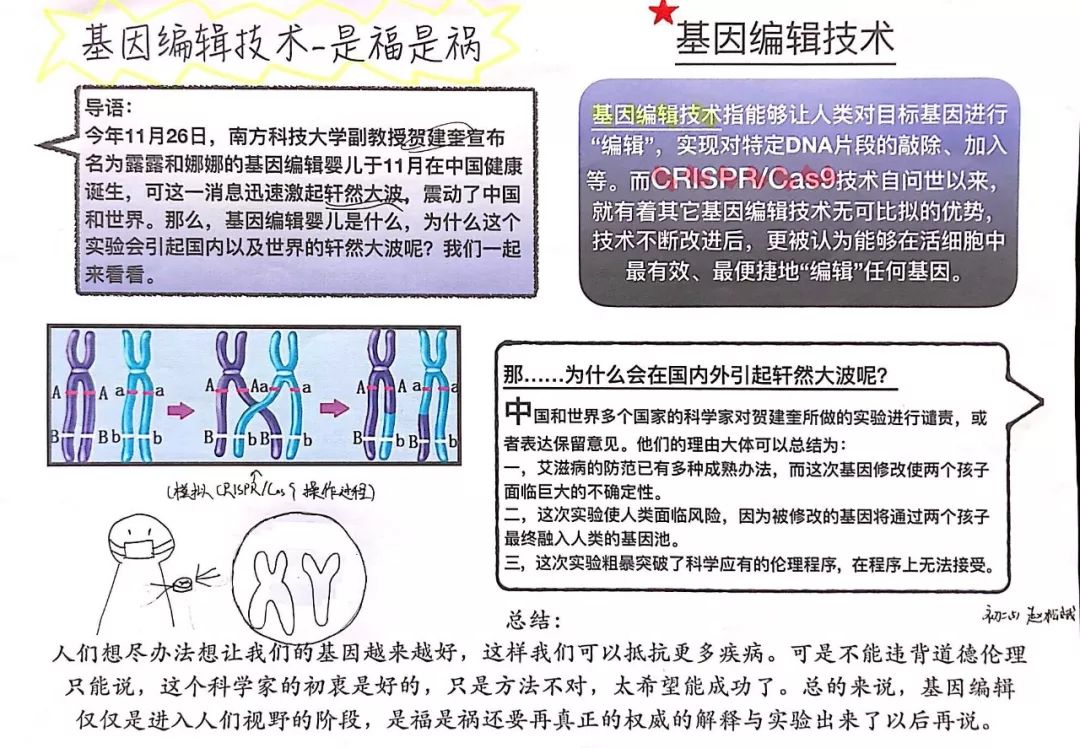 遗传学手抄报图片