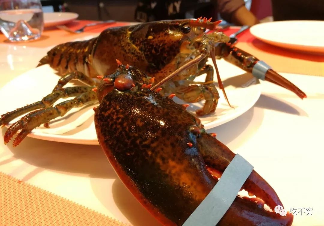 波士頓深海猛男 本地享地道異域美食丨哈市首家鮮活波士頓龍蝦館